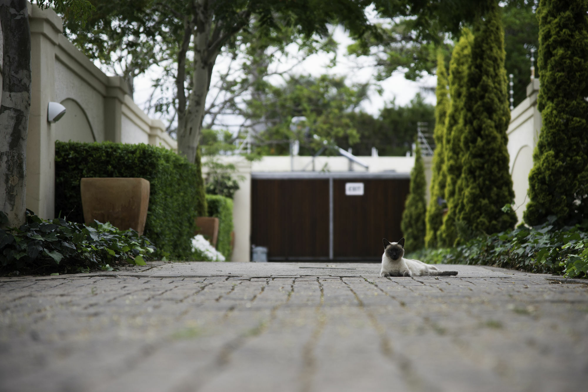 Arum Guest House East London Exterior photo